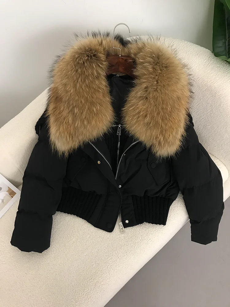 Sexy Natural Real Raccoon Fur Collar warm thick winter women white duck down short luxury coat