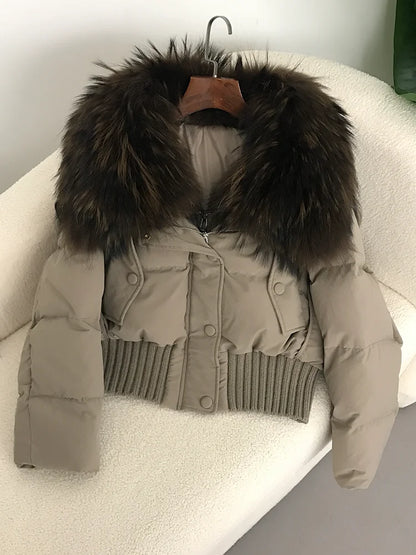 Sexy Natural Real Raccoon Fur Collar warm thick winter women white duck down short luxury coat