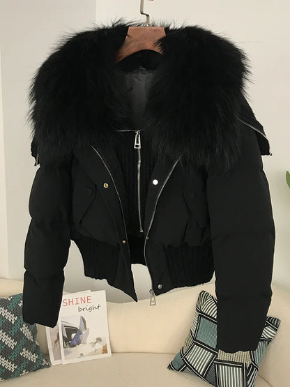 Sexy Natural Real Raccoon Fur Collar warm thick winter women white duck down short luxury coat