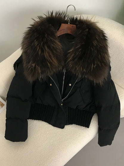 Sexy Natural Real Raccoon Fur Collar warm thick winter women white duck down short luxury coat