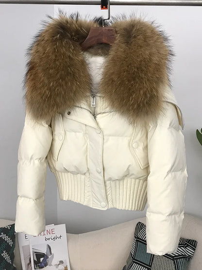 Sexy Natural Real Raccoon Fur Collar warm thick winter women white duck down short luxury coat