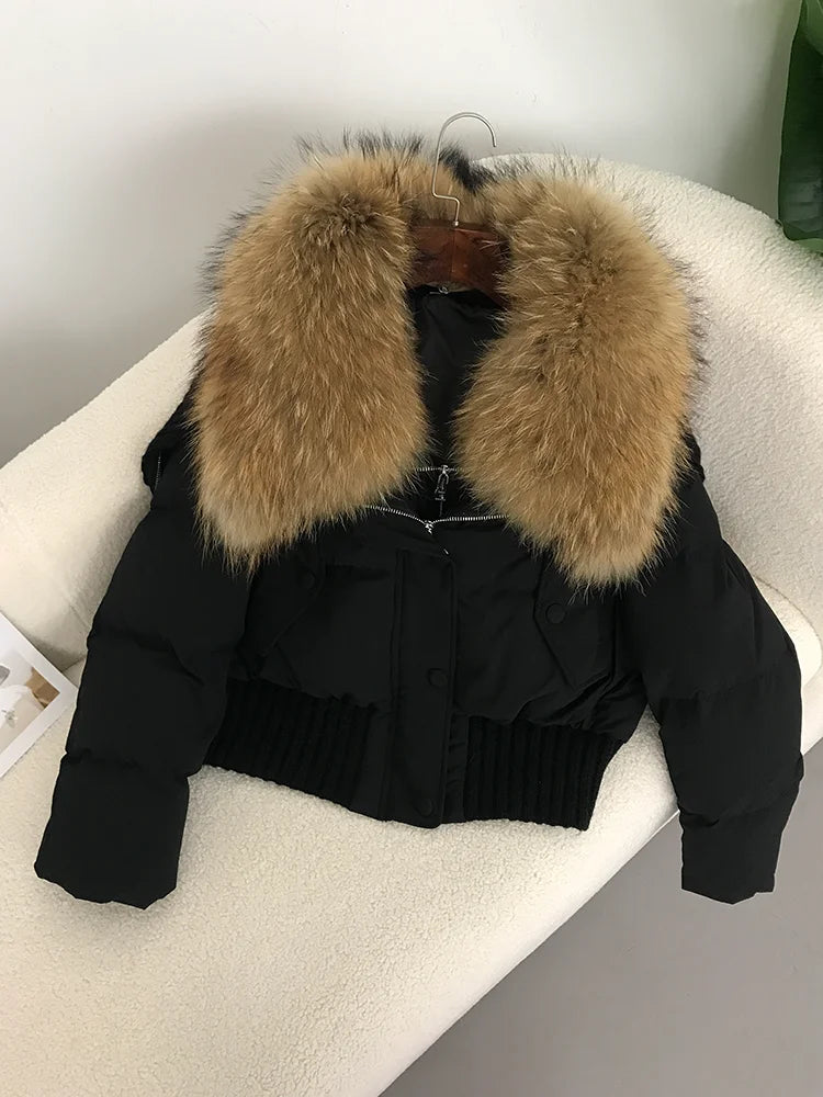 Sexy Natural Real Raccoon Fur Collar warm thick winter women white duck down short luxury coat